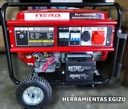 Generador Gasolinero  NJ10000E - Nera