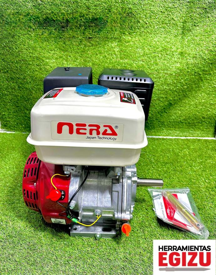 Motor gasolinero de 18 HP - Nera
